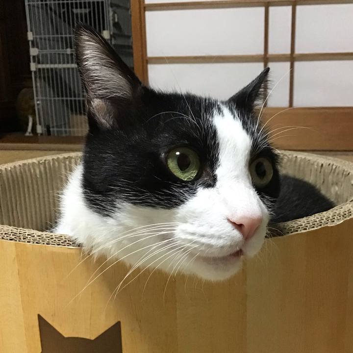 4e14db01 d831 4db7 8b39 c87d63b4a83a 1762513419752