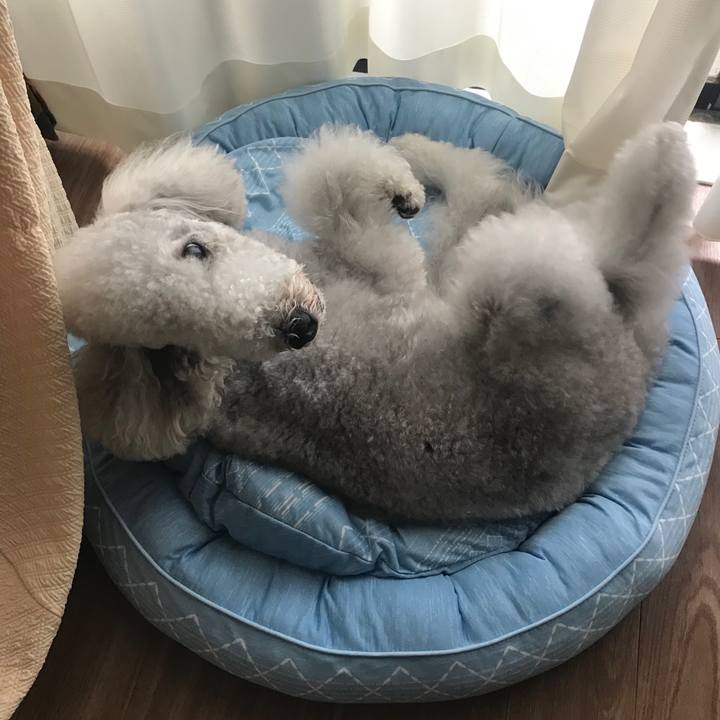 4e14f42c 724e 49c7 9db5 116d36bca7f8 1657427783105