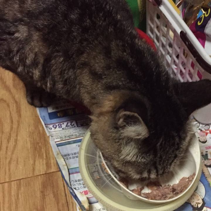 4e14f74a 798f 4dc8 88b0 53898e4be987 1568463095502