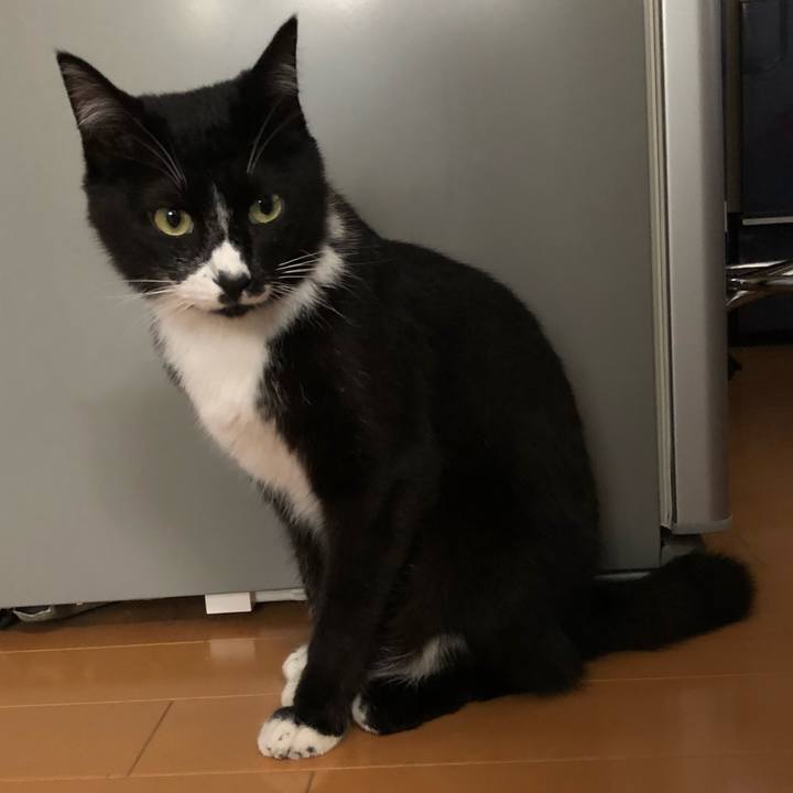 4e150bd6 d7e0 4db8 83fd 383b029dd521 1527915546472