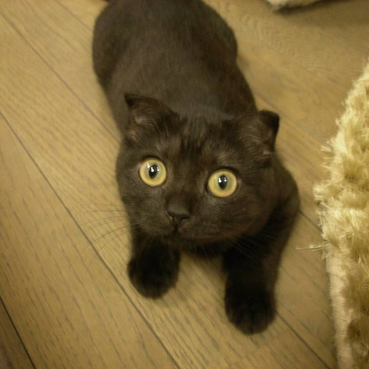 4e1588f1 4658 42a5 b17e f4251ea73af8 1526633583506