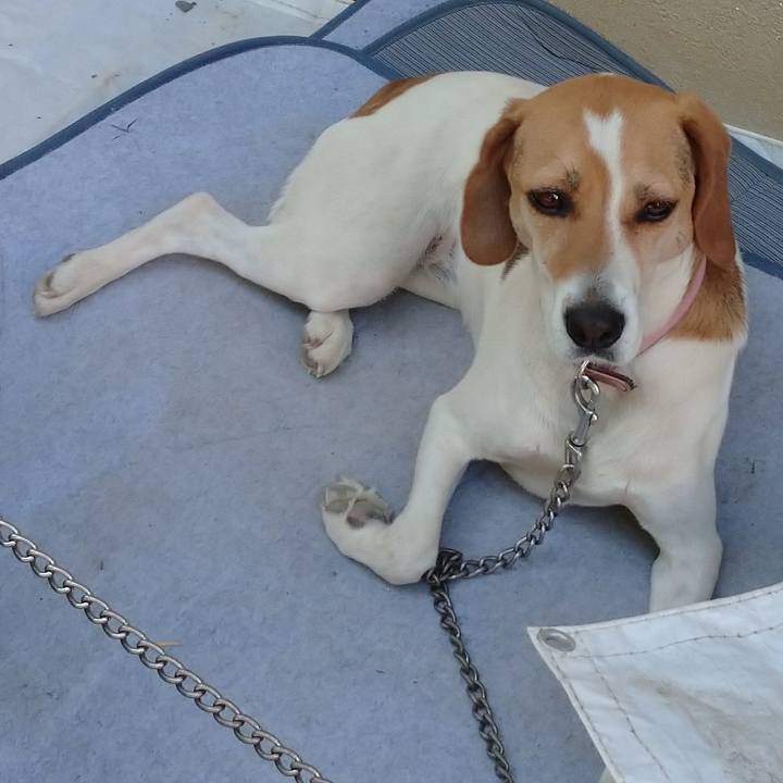 4e158d34 f136 4298 8ace 5c5cf7769de8 1592990137440