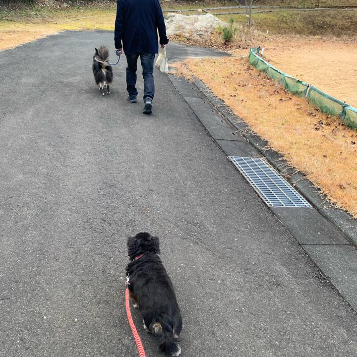 4e159ab7 28ab 42ff 91c1 12d74315b7e5 1606347098933