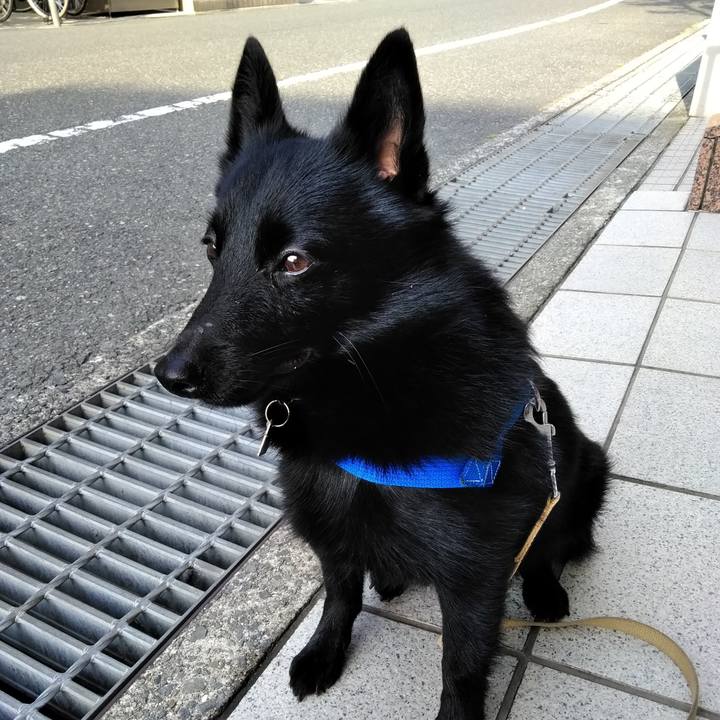 4e15b35a ffba 4bd0 b41f d01f5b2605b7 1559339770631