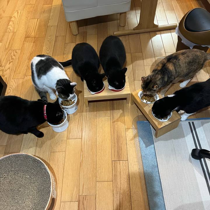 4e15b4c6 2662 44a8 ab21 b28e1def7adf 1672529773400