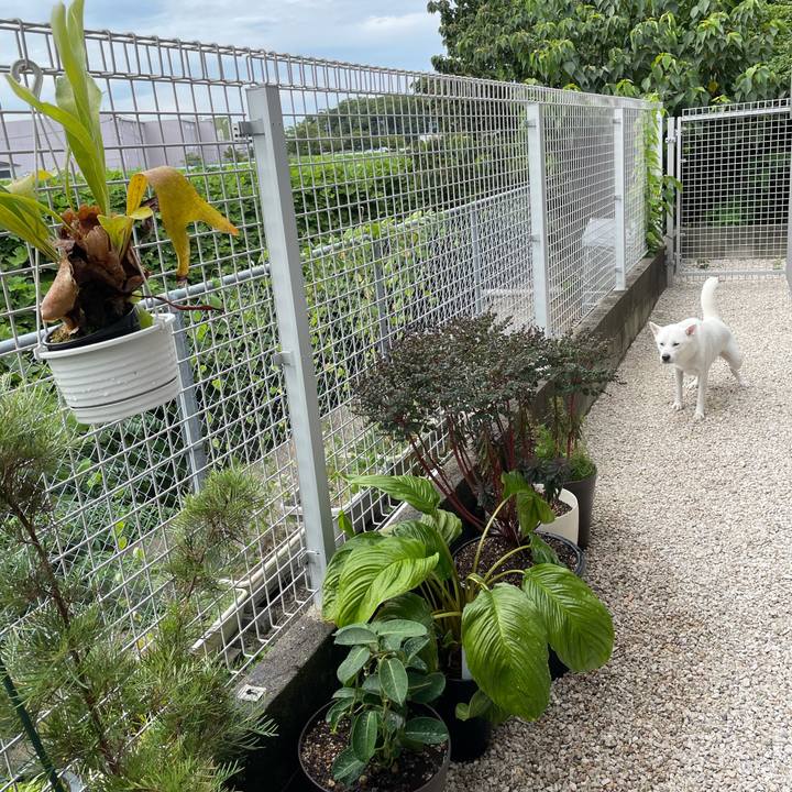 4e160e2b d823 42c5 8962 bae69193f023 1630491231123