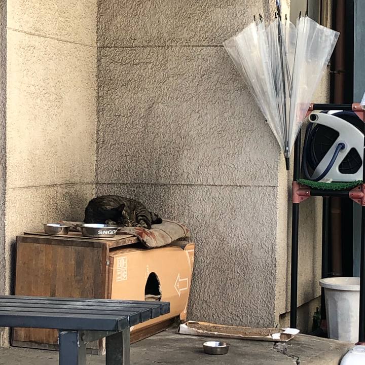 4e16773f bb02 4cbe b0da 04a8f9e1e1c6 1638014341914