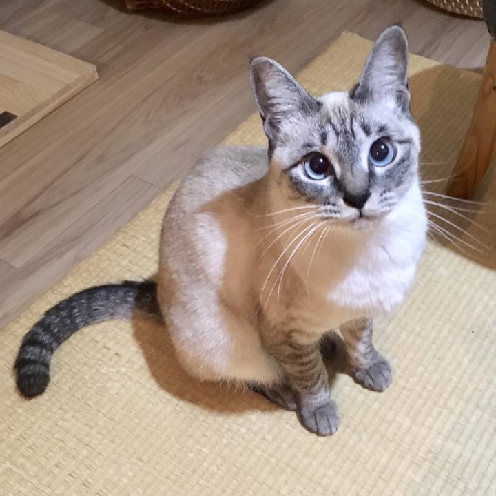 4e168d97 e941 4cb1 8bfa 8bd78cb9154f 1575632526739