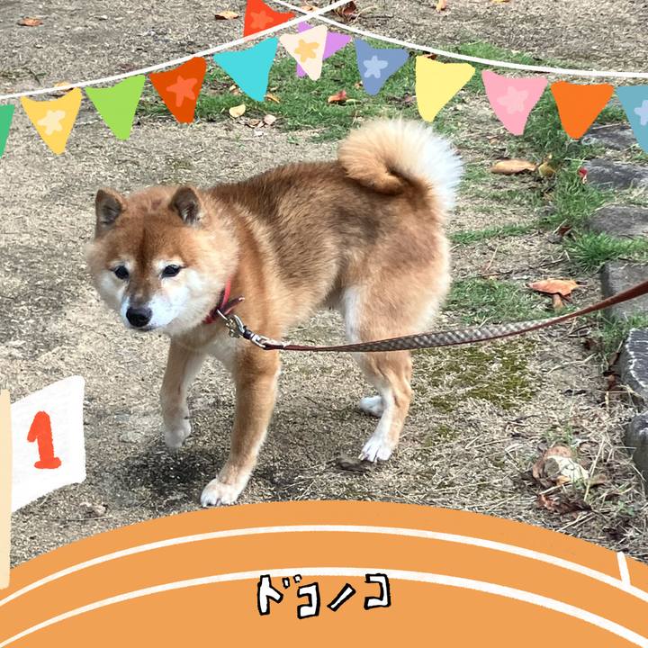 4e16ceb9 707c 4c9d 8e35 6a7d49198f54 1761964469522