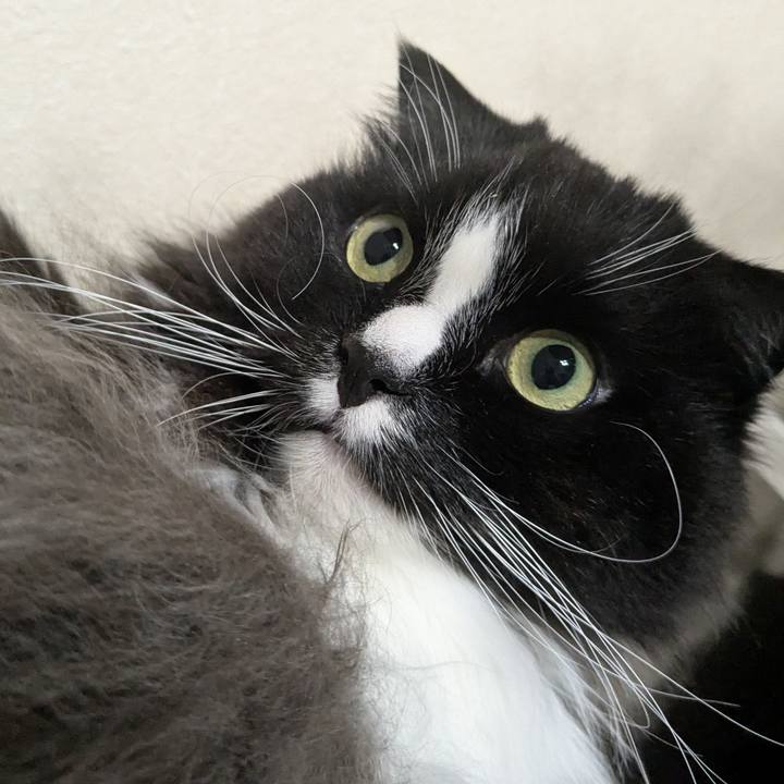 4e171fbe 07d3 4d88 b7cd d6234ef760db 1739967204879