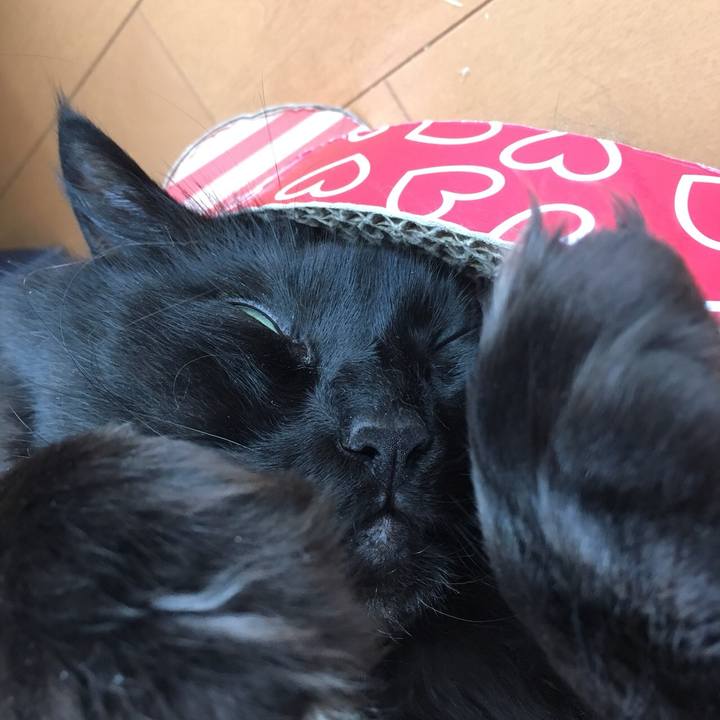 4e1720fb c76a 4447 bcf5 2c0510be2b2b 1557882425180