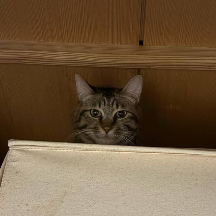 4e174d68 ba5f 4939 a96e 40343c87a3fc 1762214178339