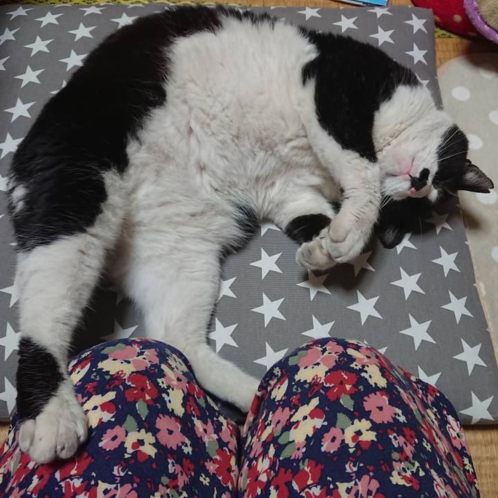 4e1789f8 b6ce 485e a102 77270e39ed6c 1558010240535