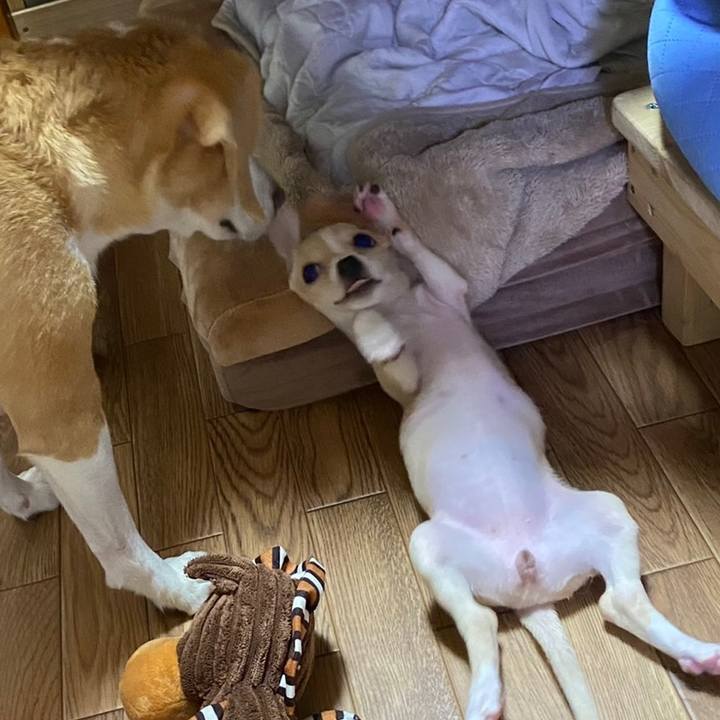 4e179d10 d3bc 4187 a59e d19c8f0e680d 1661586239711