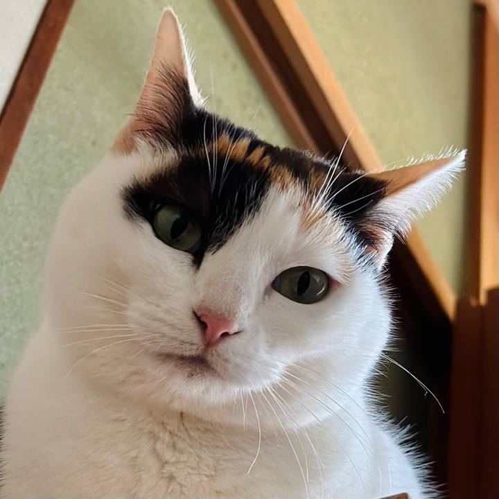 4e17af38 2b4f 4cc6 89e0 04fe6ecce882 1678497857282