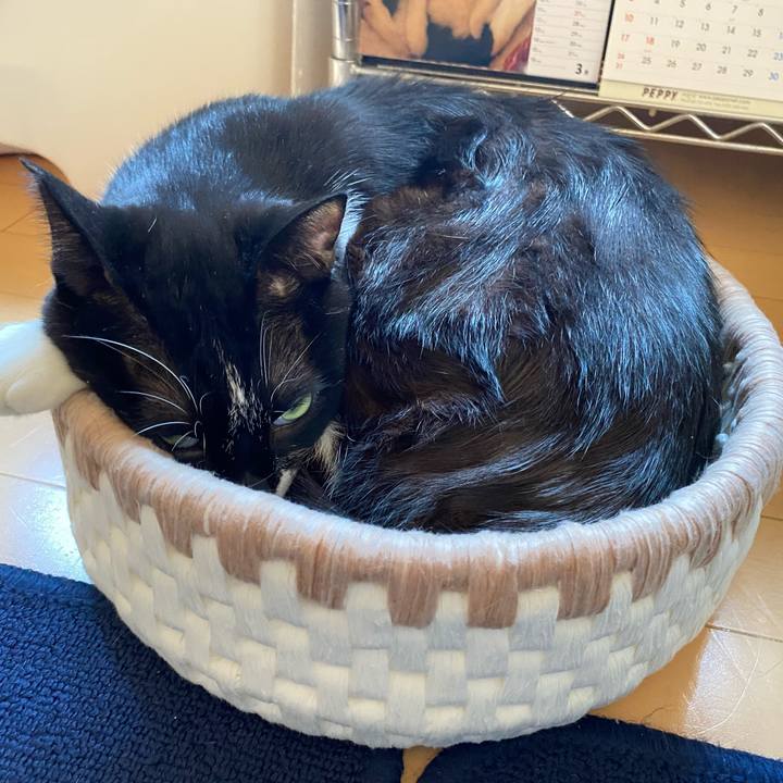 4e17c4d4 eeb0 4f09 9b06 e38034b7b82e 1659735380143