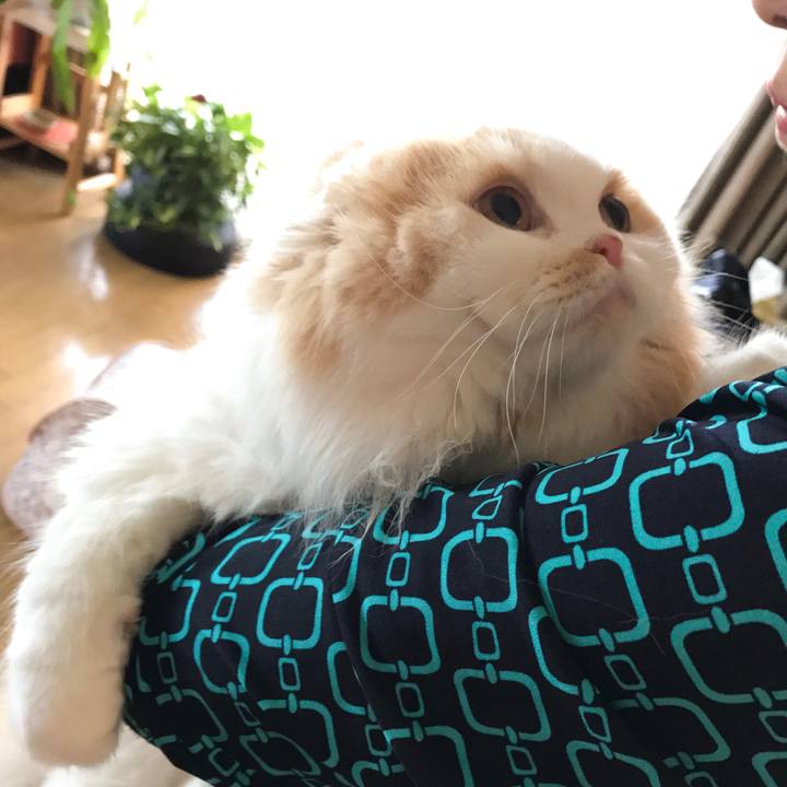 4e180bbf 2fd5 44e0 889b b0497f8c1b64 1530356767200