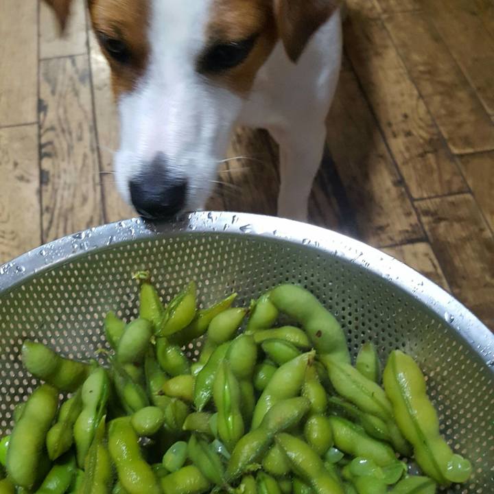 4e180de3 aab4 4afe 8d4c 01c3d3c9079e 1562808437732