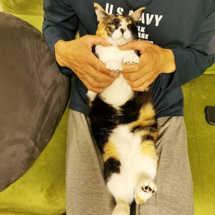 4e181300 761d 41c4 a95c 8da16e0c9c61 1667618220008