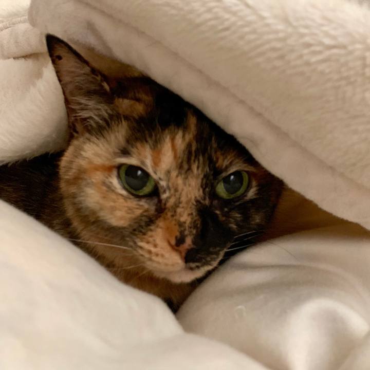 4e18220c 5a5c 4747 9de5 4cedf5d1b1c2 1547310983800