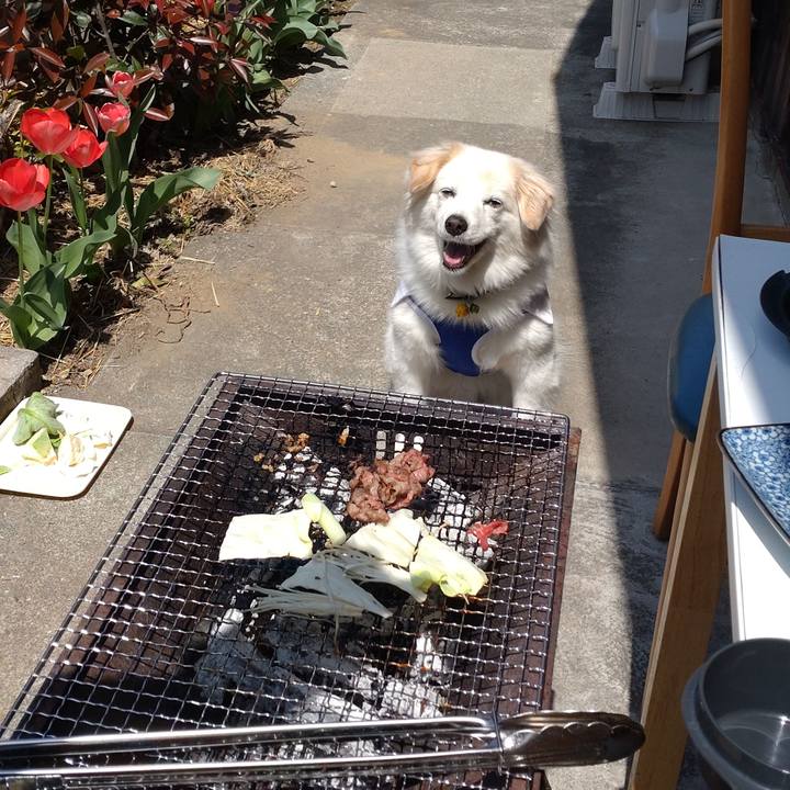 4e182fef 129e 44f7 89d0 fcd1c7837704 1649557968496