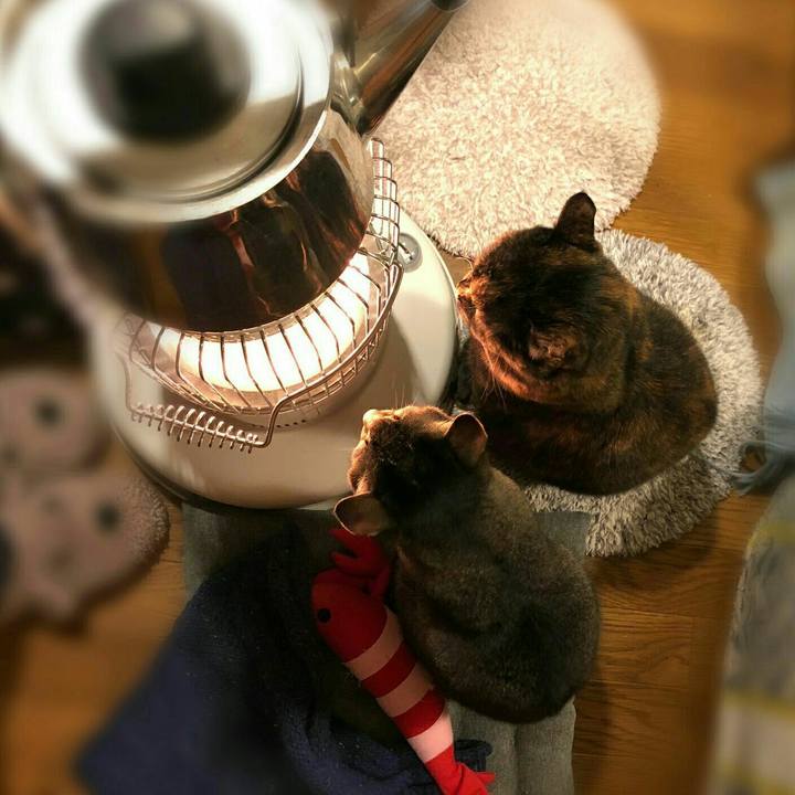 4e185e69 ffb9 4b97 b29f 20b3220867de 1579405201068