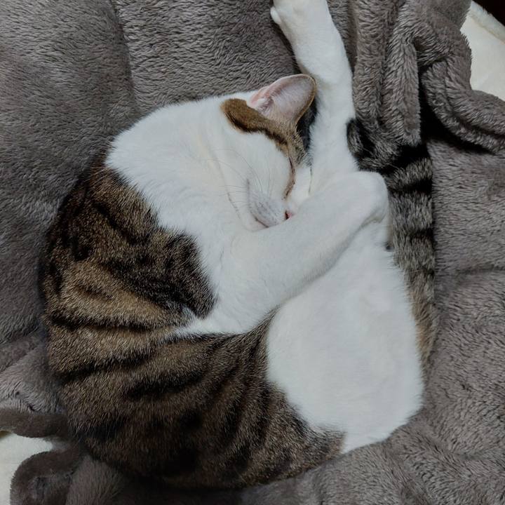 4e186daa f718 47af b196 29c21b5634cb 1646139140612