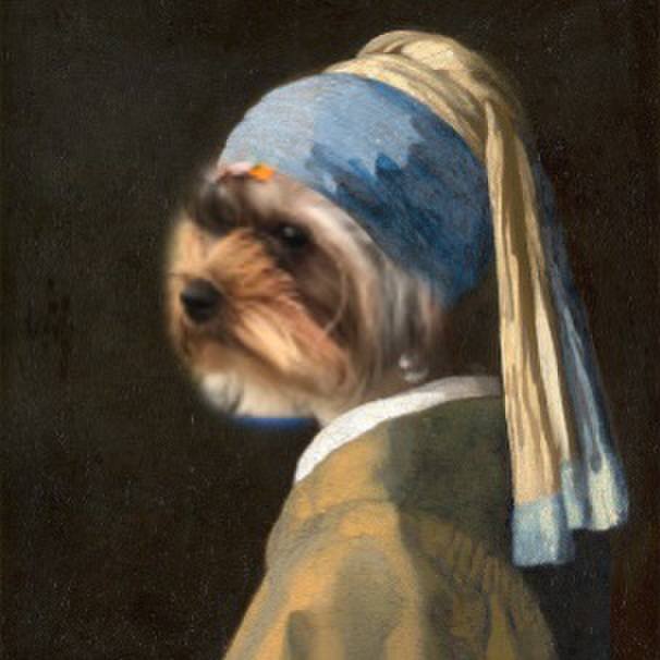 4e1874bc 7040 4ef6 a2b0 f38ecc998816 1636868805176