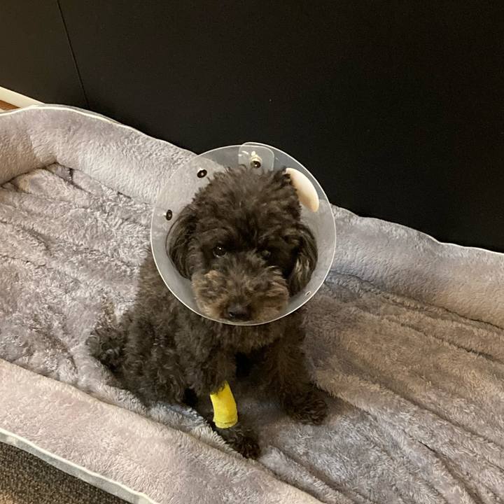 4e1881d5 fd3e 436b bacf 56b52692dfbf 1637317967554