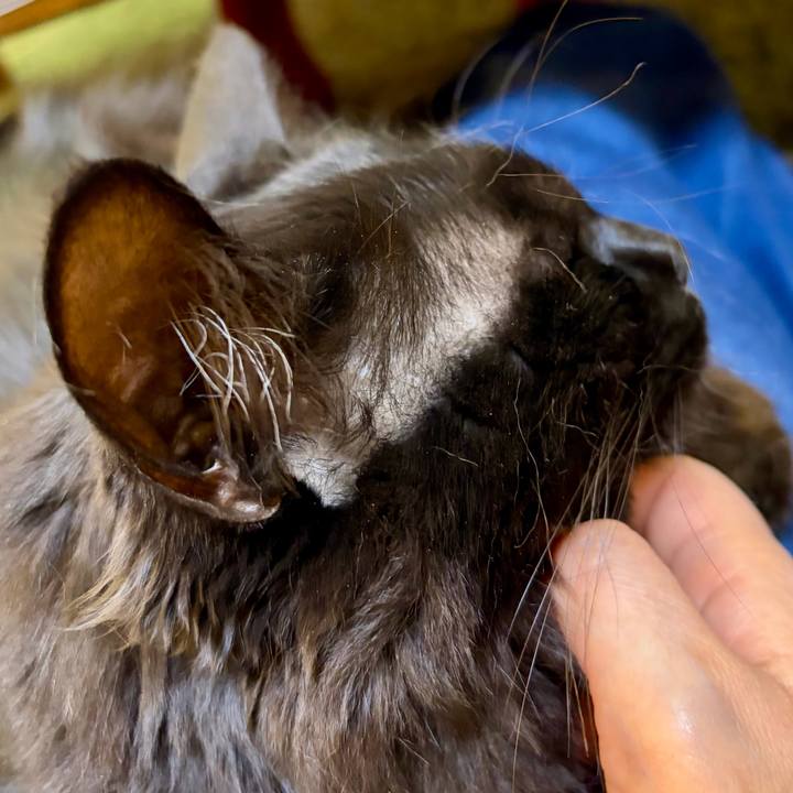 4e18aeaf adea 49c4 bc7d 69132d952399 1773915844517