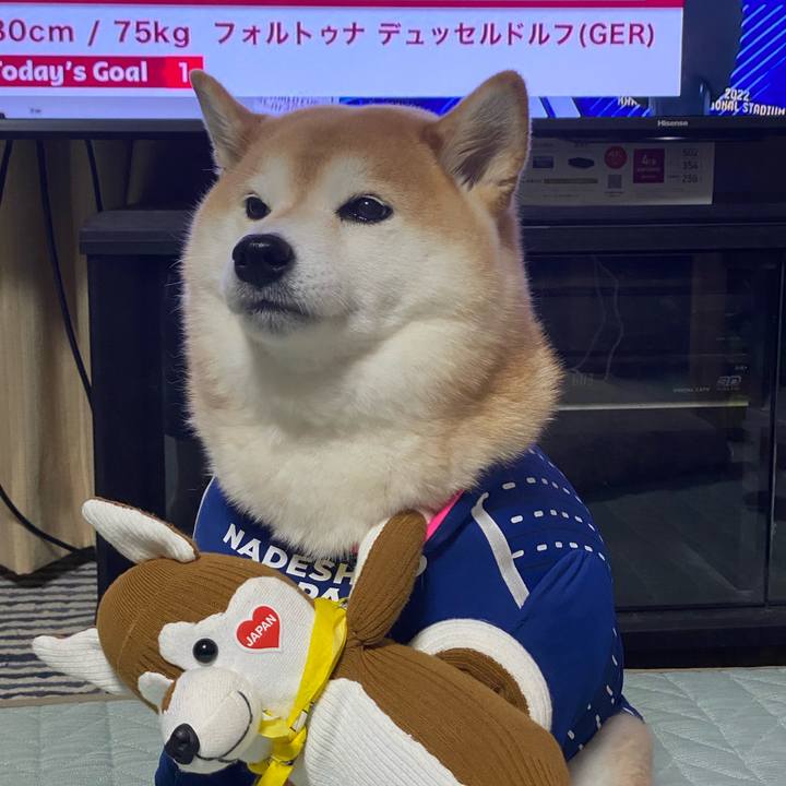 4e18c32b 46e6 406b a743 038f502f8c6f 1669929434345