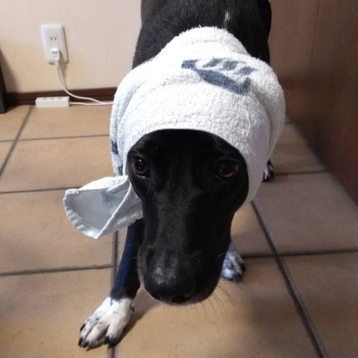 4e18c9ae 1d71 4039 9244 6fc6840a33ba 1591588288619