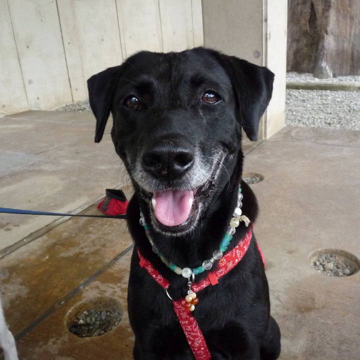 4e18cee5 704c 456c b446 04f3ed08521f 1533304124170