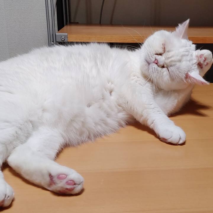 4e18d594 ed8d 45c0 8c3f 8fd9564adafd 1648992539524