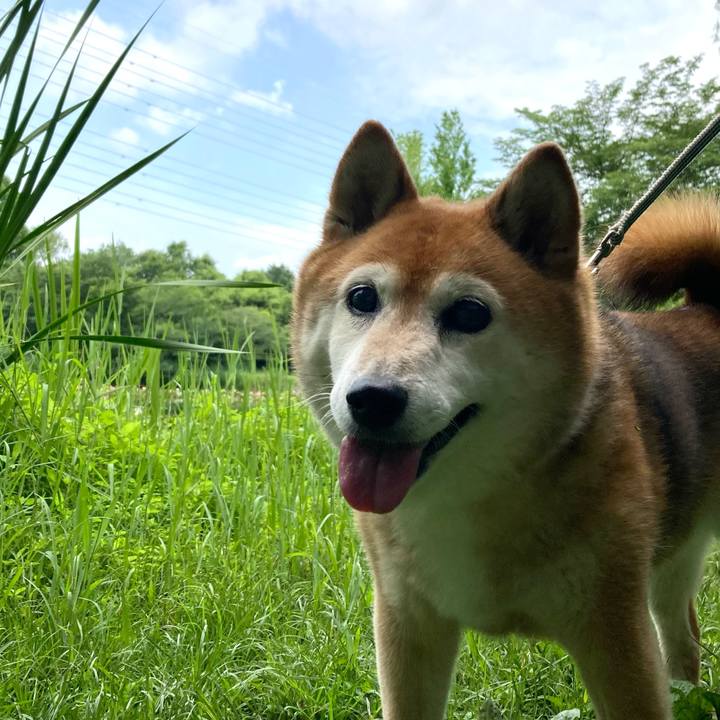 4e18fef1 a36a 4bc6 ae2e 004a0be5bb8c 1719461288807