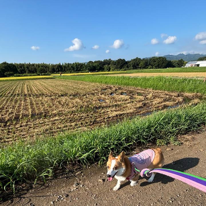 4e190817 34c7 4614 8c67 c00095b83f1e 1757217282126