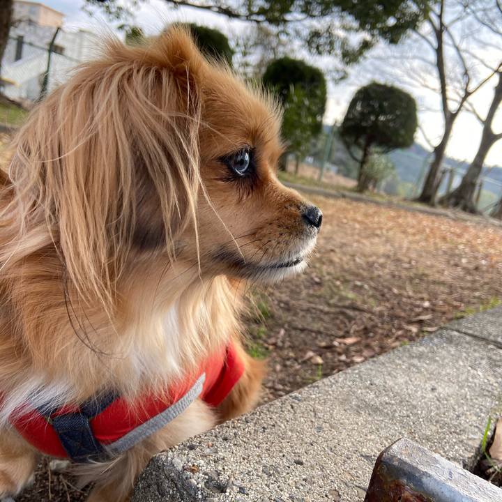 4e190892 f4ce 44a8 a212 e2f253374e67 1578016658368