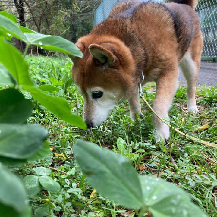 4e193f89 79be 48de 803f 7910c89864b7 1712189872429