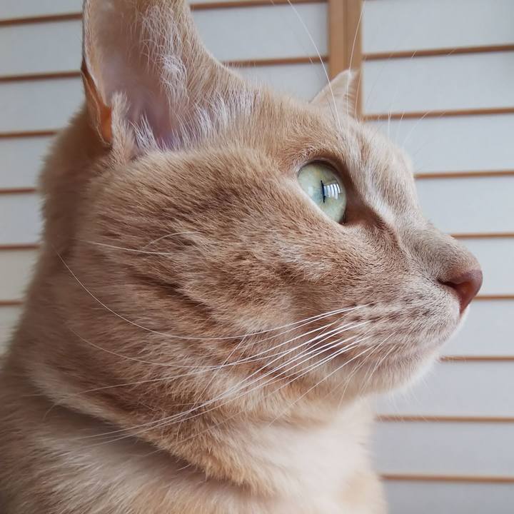 4e19661d 8bd0 49f1 9afb acd9a140a80b 1635897937416