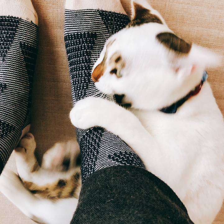 4e19907b 8a05 4273 b589 0fe081ab30bf 1515506185785