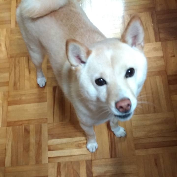 4e19b154 d4ed 4b4d 8ef1 ae69f82eb7be 1582840501696