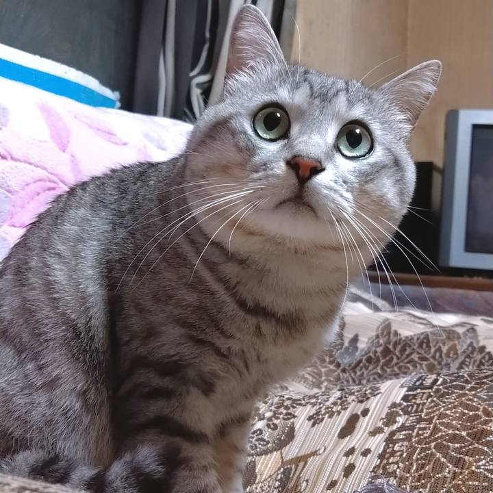 4e19b956 eea5 4ab1 9326 90301bfdcd1c 1582452354797