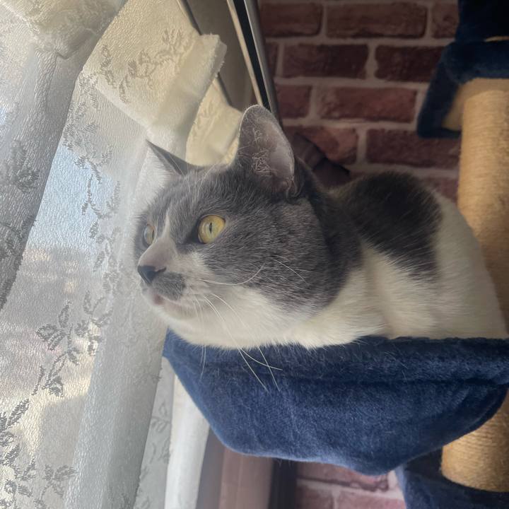 4e19ee71 84ea 4317 9e0b 5b751123a435 1715297891046