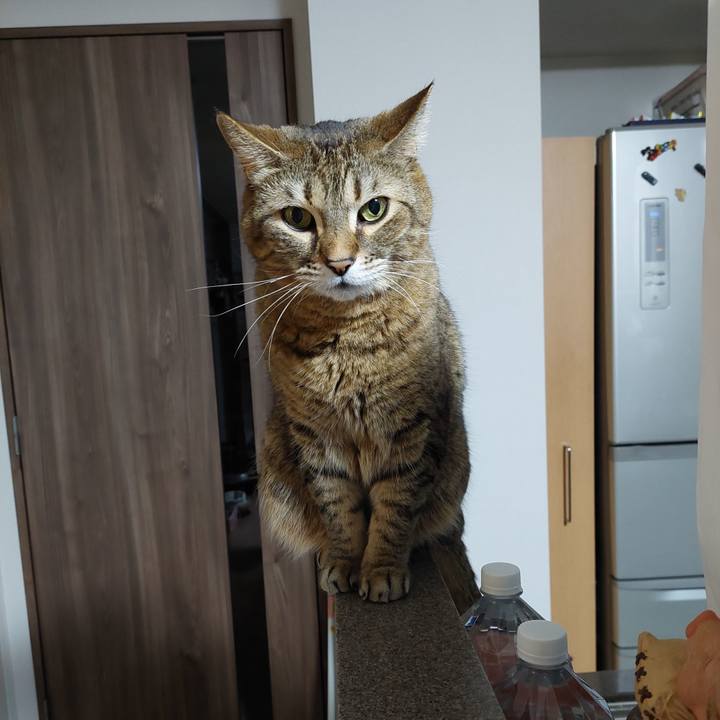 4e1a16d1 a478 4db4 bf98 61245ee98b8d 1644319656693