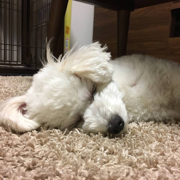 4e1a2bee 5cb7 4764 9e42 1212f002fc70 1521722588408