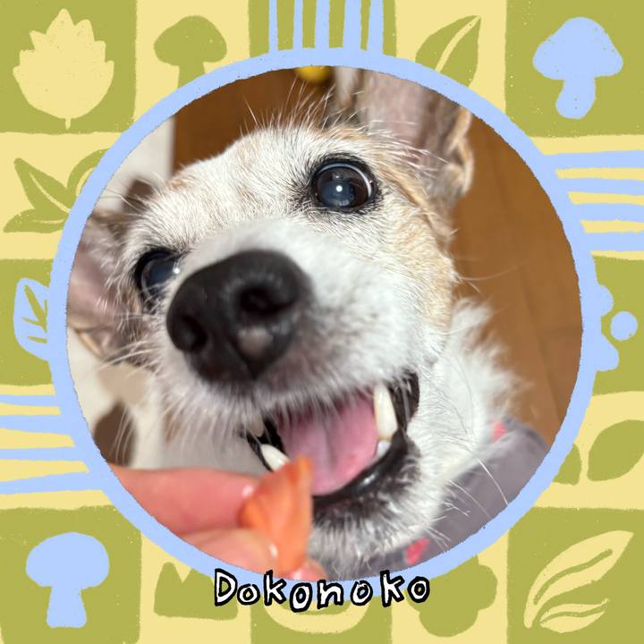 4e1a84ec 6fe3 4c67 b66d e15e424f167b 1761350707761