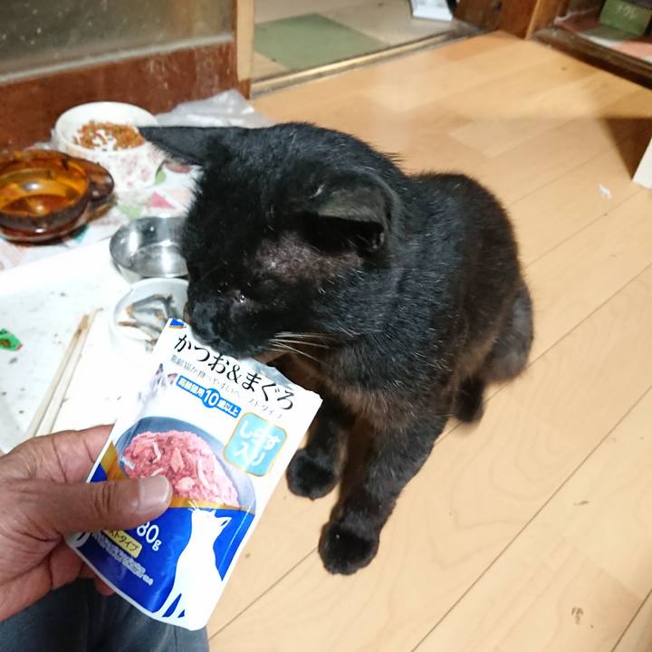 4e1a8be5 8072 4d11 a0d1 afbafe46c4e2 1626348766085