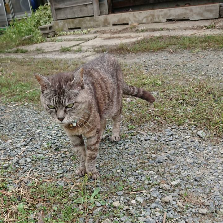 4e1aace9 48b7 46c0 8c22 74aa244b0caa 1568790944786