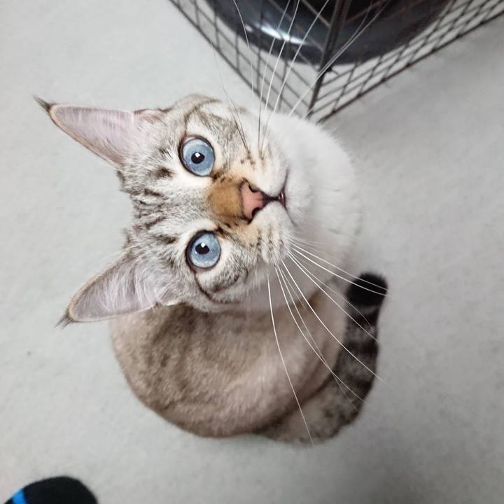 4e1aaf0a 2b15 4be8 9b18 5af5db0b91b0 1577357665828