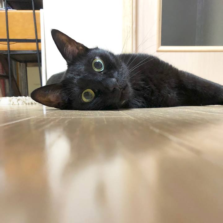 4e1ab6ac cd9b 40f6 9684 2b3461dabaf7 1592576948060